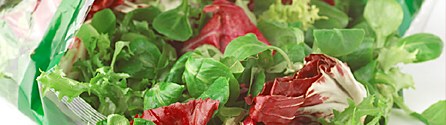 Produits à base de légumes
cuits et assaisonnés Produits à base de légumes
cuits et assaisonnés