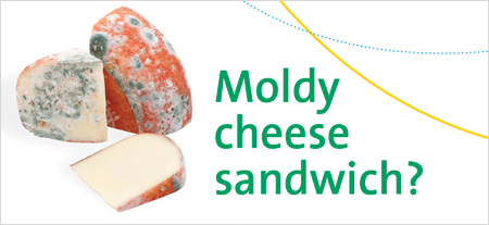 Moldy cheese sandwich?